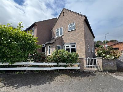Picture 20
